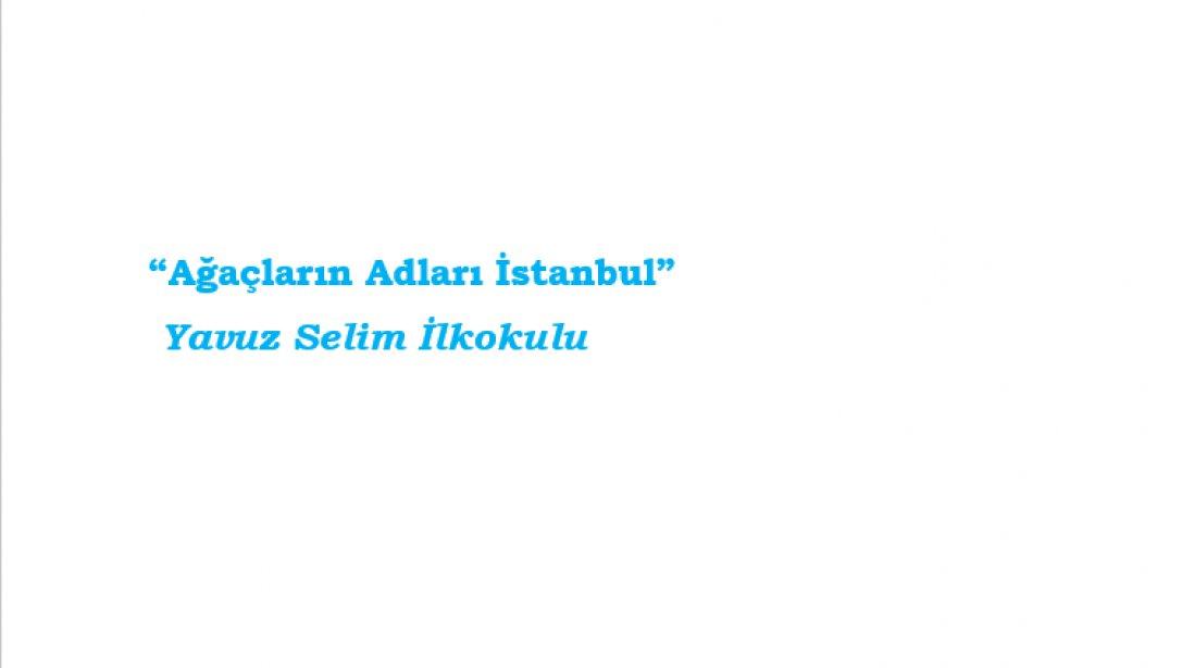 Yavuz Selim İlkokulu... Ağaçların Adları İstanbul